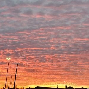 Meet your Posher, Zach